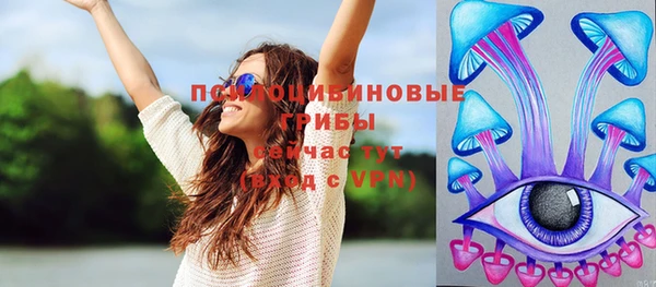 мяу мяу мука Баксан
