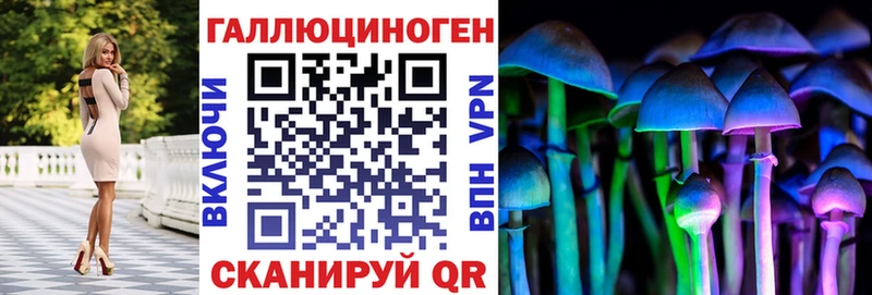 как найти   Сосновка  Псилоцибиновые грибы Psilocybine cubensis 